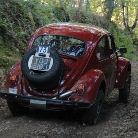 564523976_24620237961002712_3094903468953116436_n